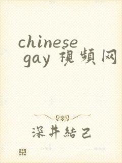 chinese gay 视频网站