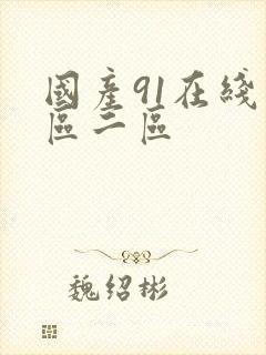 国产91在线一区二区封面