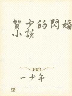 贺少的闪婚暖妻小说