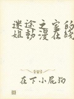 迷途之家的大姐姐动漫在线播放