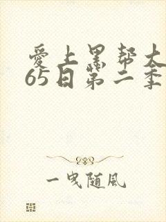 爱上黑帮大佬365日第二季