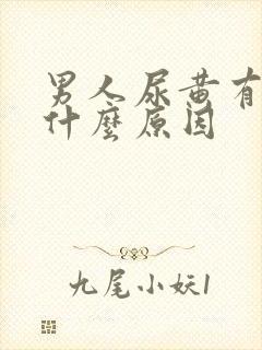 男人尿黄有沫是什么原因