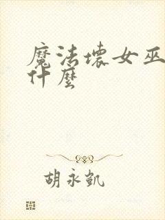 魔法坏女巫讲了什么