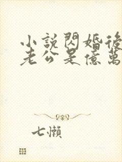 小说闪婚后发现老公是亿万富豪