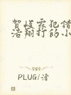 贺峻霖犯错被严浩翔打的小说