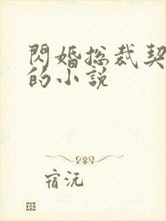 闪婚总裁契约妻的小说