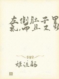 左侧肚子里有胀气,而且又频繁放屁封面