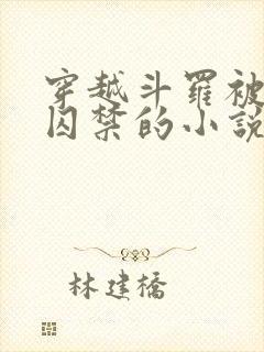 穿越斗罗被病娇囚禁的小说