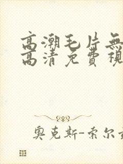 高潮毛片无遮挡高清免费视频毛片