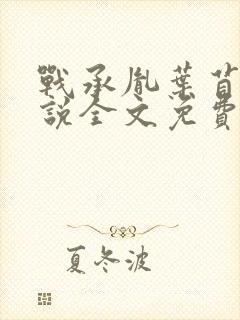 战承胤叶苜苜小说全文免费