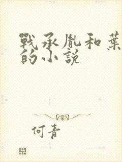 战承胤和叶苜苜的小说