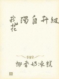 我独自升级 樱花