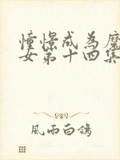 憧憬成为魔法少女第十四集