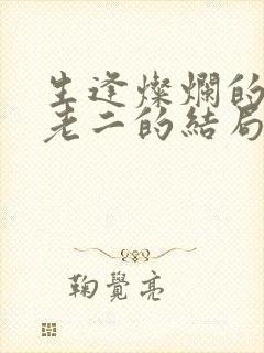 生逢灿烂的日子老二的结局封面