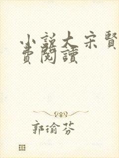 小说大宋贤王免费阅读