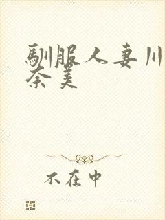 驯服人妻川上奈奈美封面