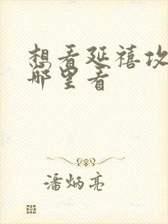 想看延禧攻略去哪里看封面