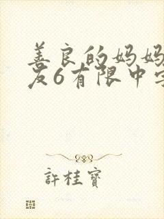 善良的妈妈的朋友6有限中字