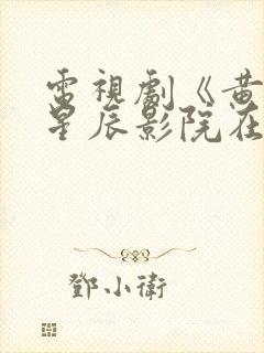 电视剧《黄雀》星辰影院在线播放