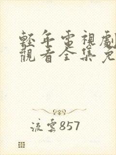 轻年电视剧在线观看全集免费播放封面