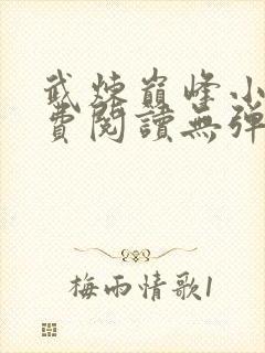 武炼巅峰小说免费阅读无弹窗封面