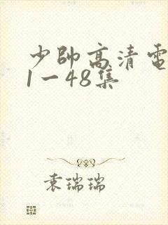 少帅高清电视剧1一48集