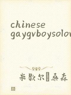 chinesegaygvboysolovideo