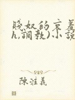 贱奴的哀羞(高h,调教)小说封面