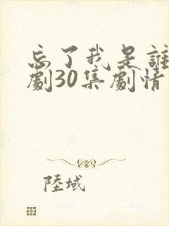 忘了我是谁电视剧30集剧情封面