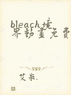 bleach境界动画免费观看全集