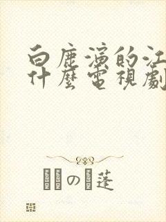 白鹿演的江君是什么电视剧