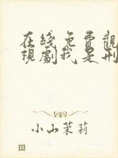 在线免费观看电视剧我是刑警