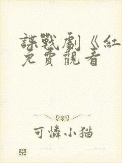 谍战剧《红颜》免费观看