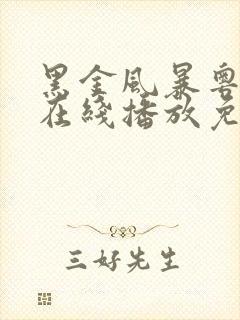 黑金风暴粤语版在线播放免费封面