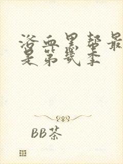 浴血黑帮最终季是第几季