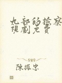 九部的检察官电视剧免费封面