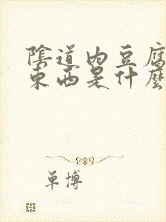 阴道内豆腐渣状东西是什么