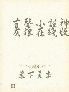 有声小说神墓大灰狼在线收听