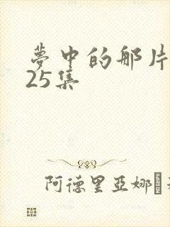 梦中的那片海第25集