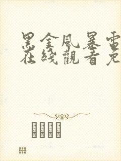 黑金风暴电视剧在线观看免费完整版