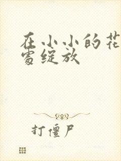 在小小的花蕾深处绽放