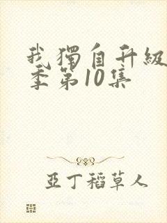 我独自升级第二季第10集