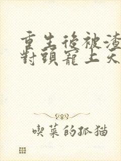 重生后被渣男死对头宠上天