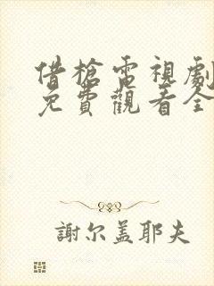 借枪电视剧高清免费观看全集封面