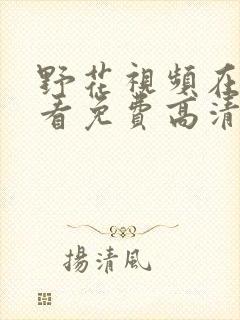 野花视频在线观看免费高清完整封面