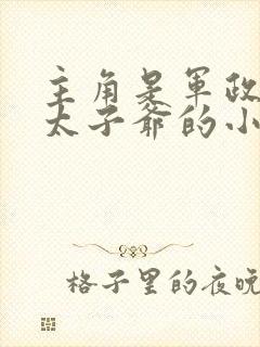 主角是军政世家太子爷的小说