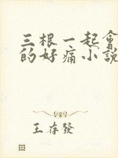 三根一起会坏掉的好痛小说