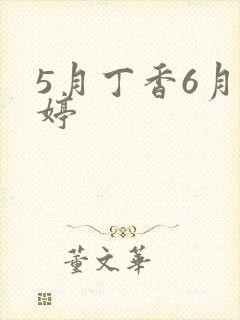 5月丁香6月婷婷