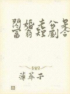 闪婚老公是亿万富翁短剧合集