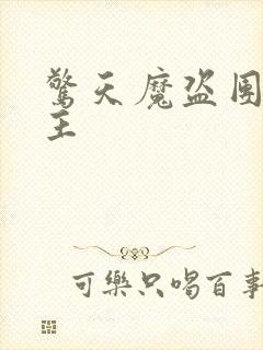 惊天魔盗团2女主